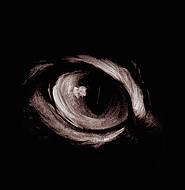 Church Bizarre : The Liberating Darkness